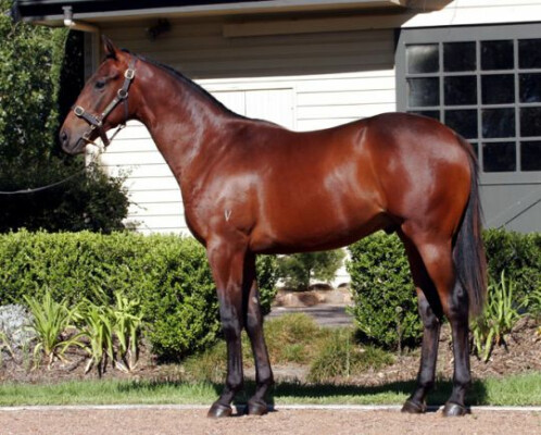 Lot 105: Mossman / Conclude