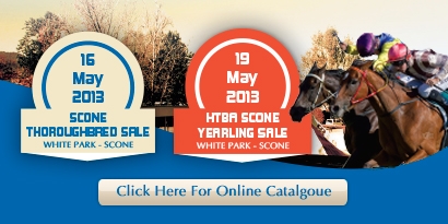 2013 Scone Thoroughbred Sale