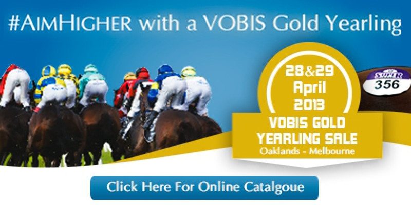 2013 Inglis VOBIS Gold Yearling Sale
