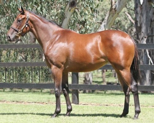 Lot 588: Shinzig / M'Lady's Manor