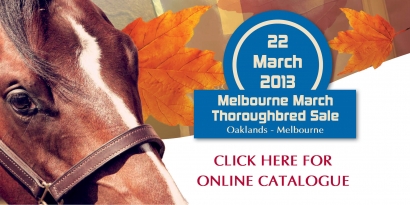Melbourne March Thoroughbred Sale