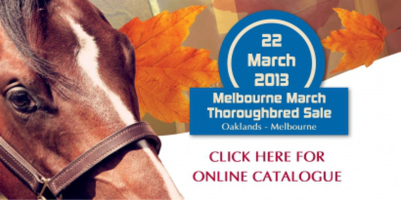 Melbourne March Thoroughbred Sale