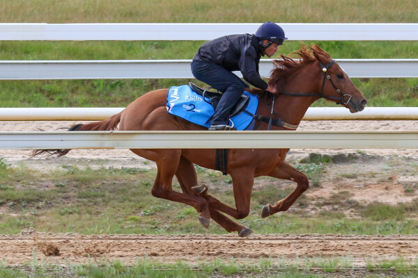 Lot 171: Written By / Personal Guarantee