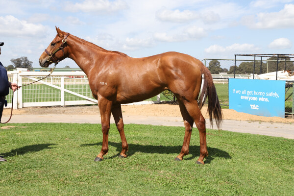 Lot 171: Written By / Personal Guarantee