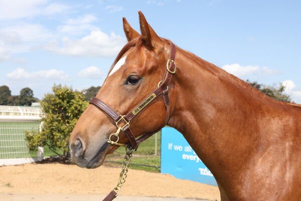 Lot 171: Written By / Personal Guarantee