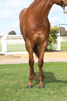 Lot 171: Written By / Personal Guarantee