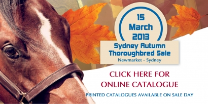 Sydney Autumn Thoroughbred Sale