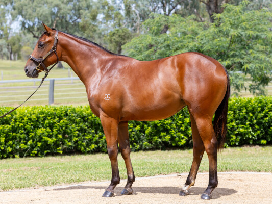 Lot 197: Microphone / Dancingfordiamonds