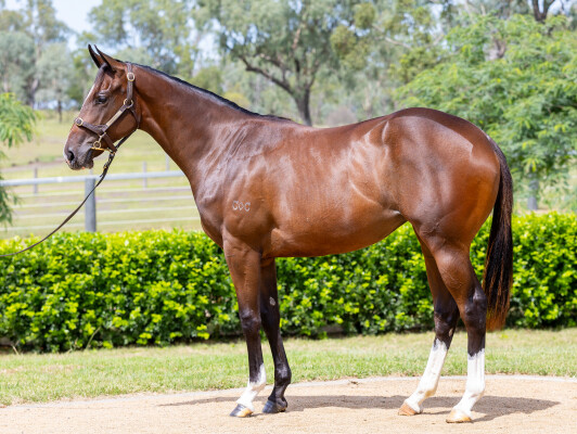 Lot 281: Spirit of Boom / High Above