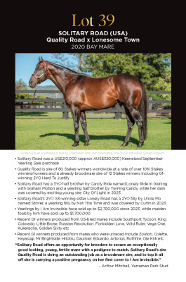 Lot 39: Quality Road (USA) / Lonesome Town (USA)