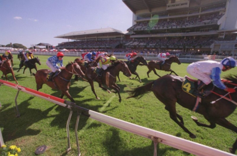 TVN locks in biggest players in new deal