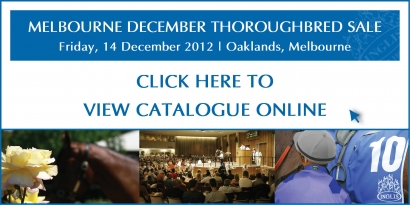 2012 Melbourne December Thoughbred Sale
