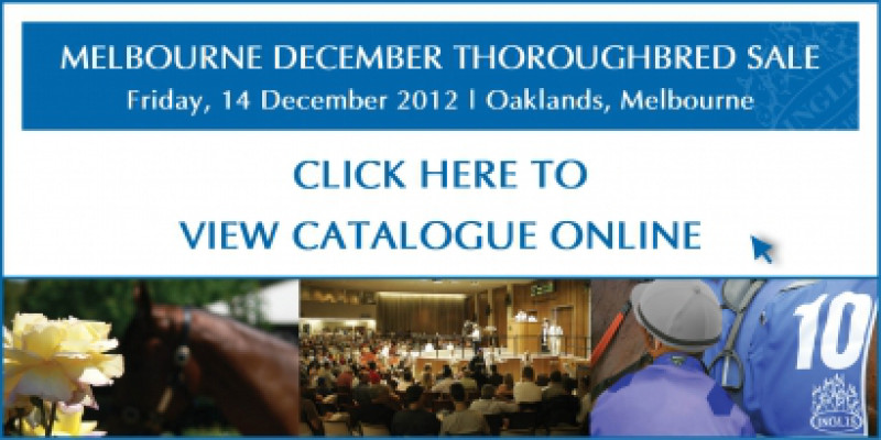 2012 Melbourne December Thoughbred Sale