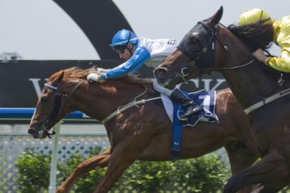 Two-year-olds make presence felt as countdown to Golden Slipper begins