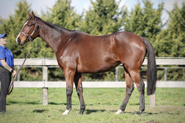 Lot 489: Artie Schiller (USA) / Relativity