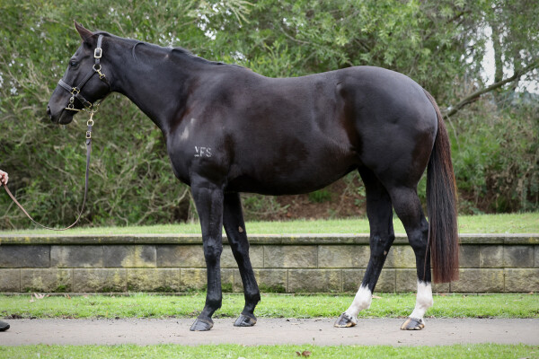 Lot 438: Maurice (JPN) / Mount Omei