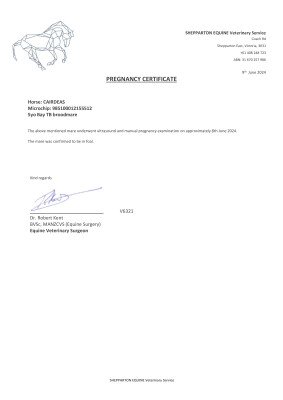 Pregnancy Certificate for Lot 438