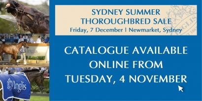 Summer Thoroughbred Sale