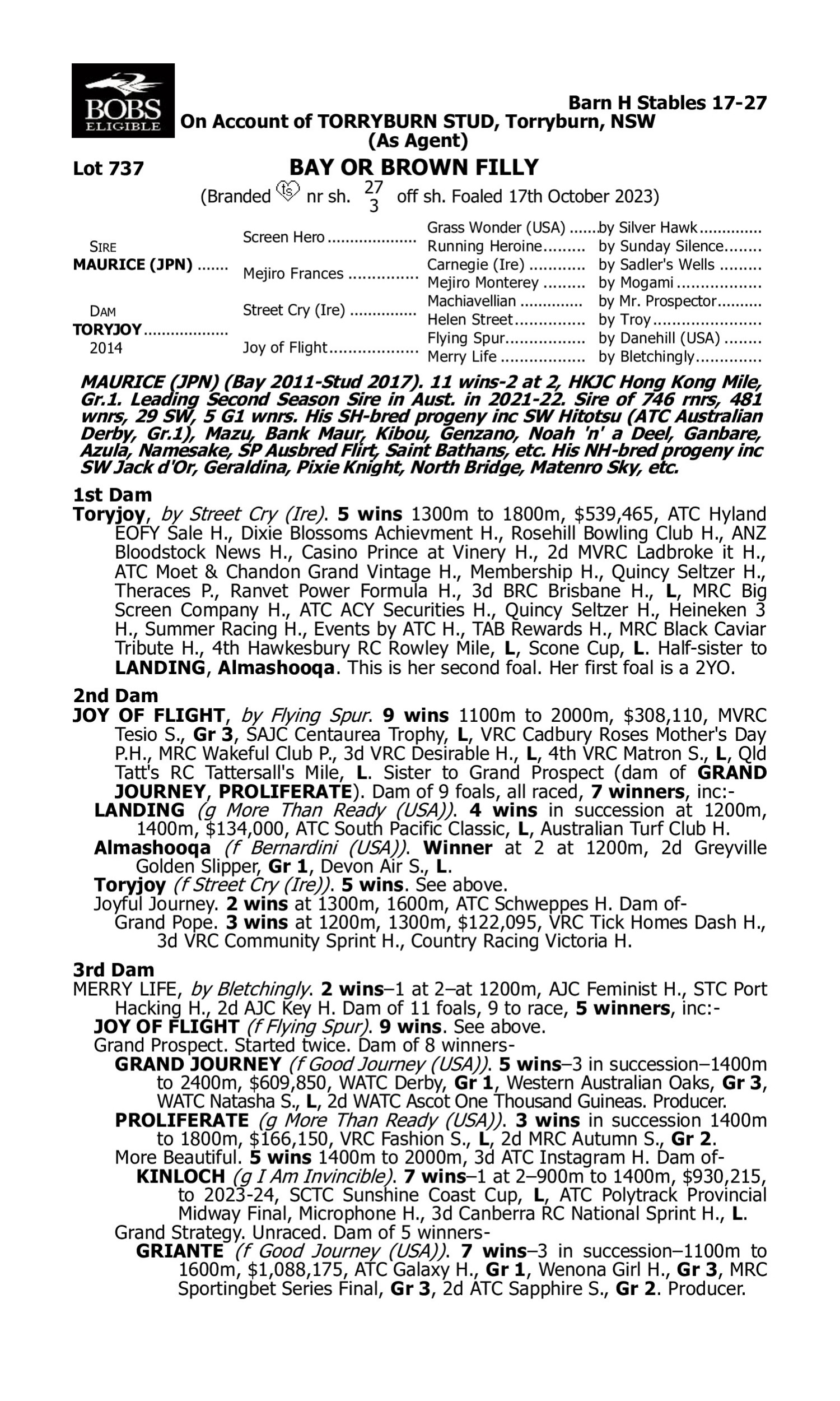 Pedigree for Lot 737 Maurice (JPN) - Toryjoy