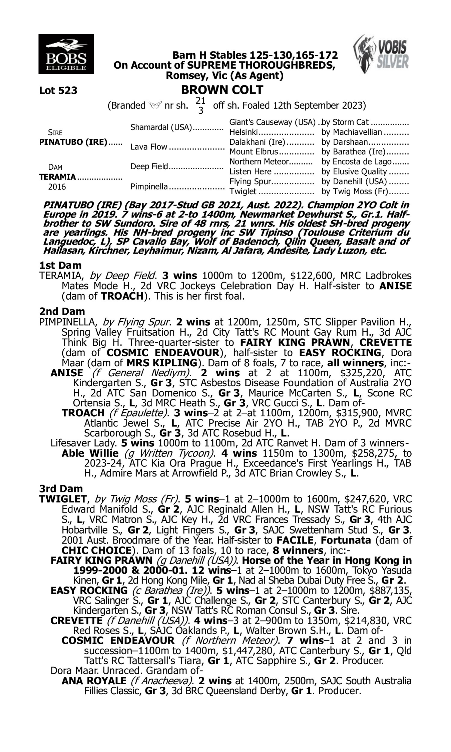 Pedigree for Lot 523 Pinatubo (IRE) - Teramia