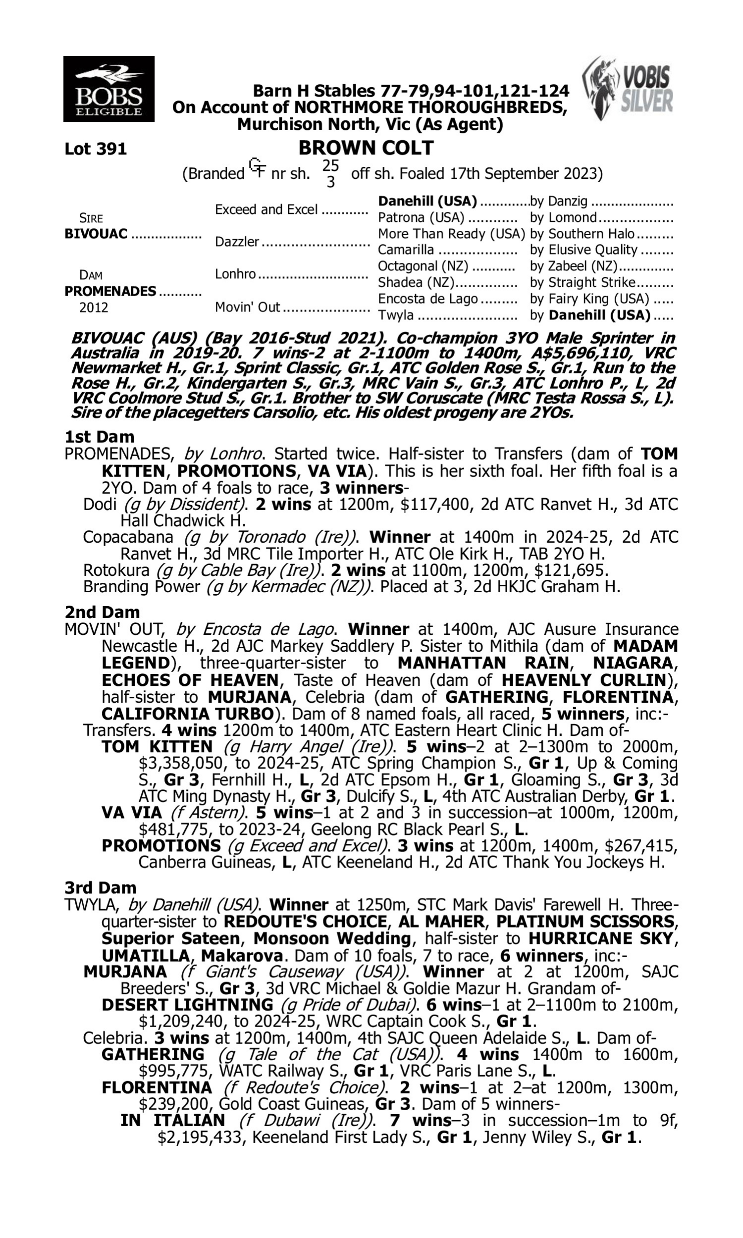 Pedigree for Lot 391 Bivouac - Promenades