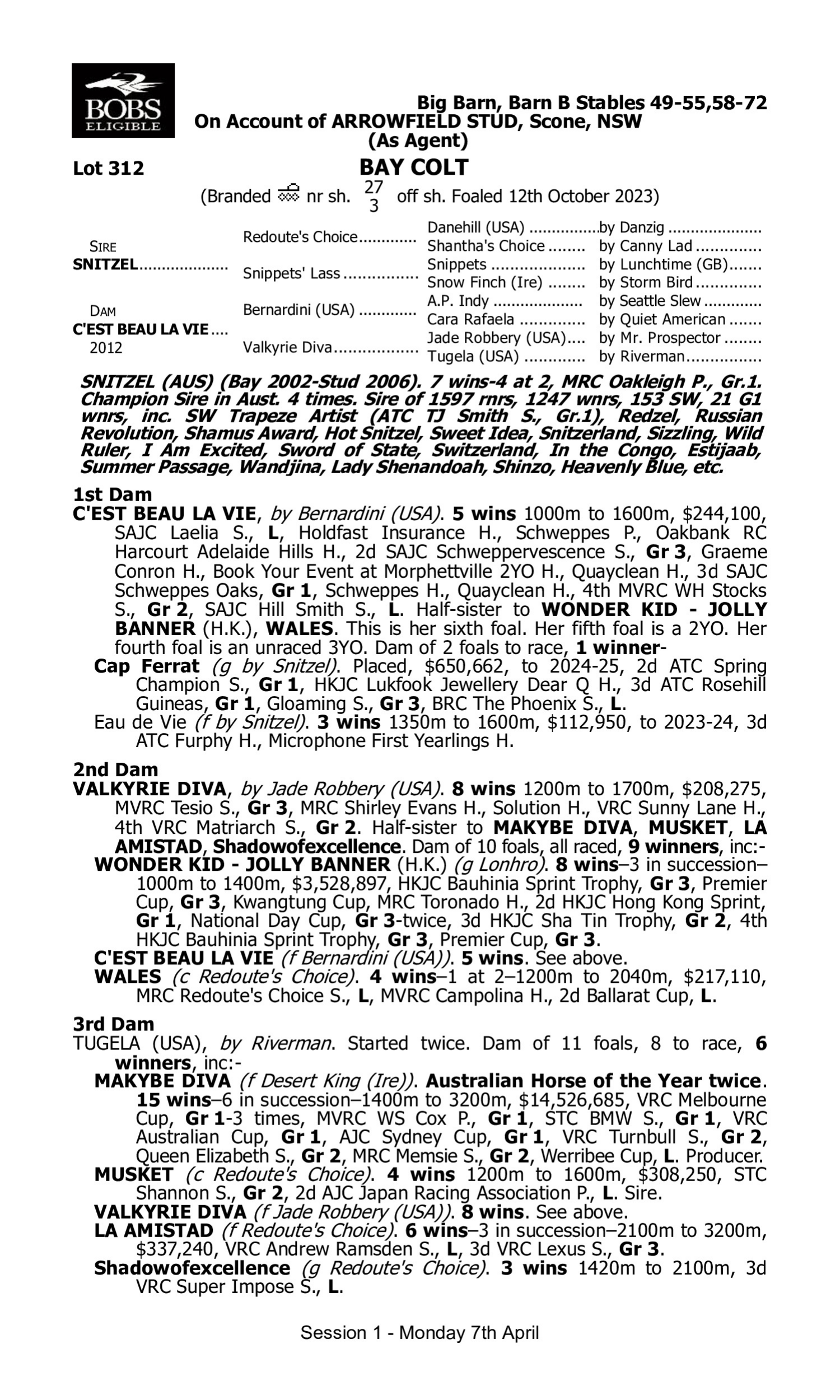 Pedigree for Lot 312 Snitzel - C'Est Beau la Vie