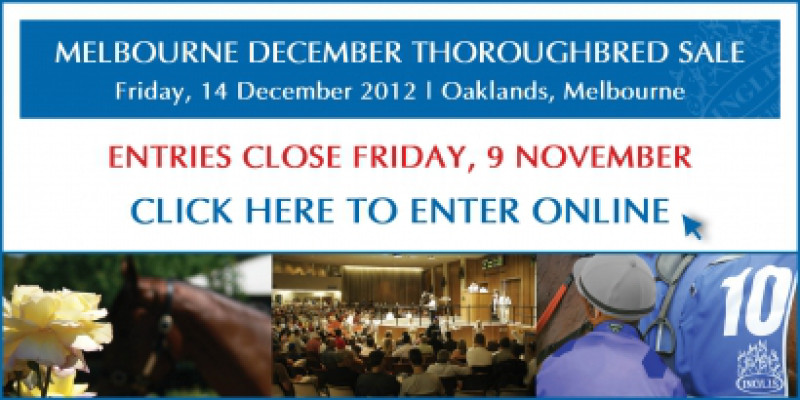 December Thoroughbred Entries