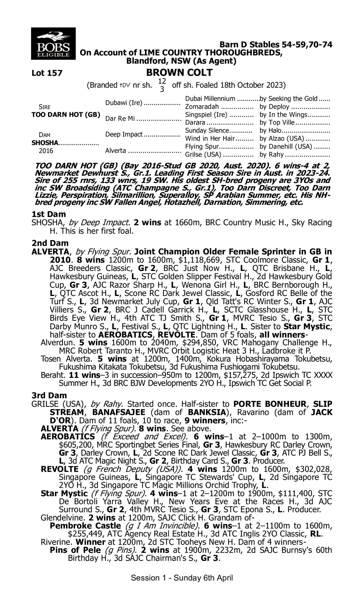 Pedigree for Lot 157 Too Darn Hot (GB) - Shosha