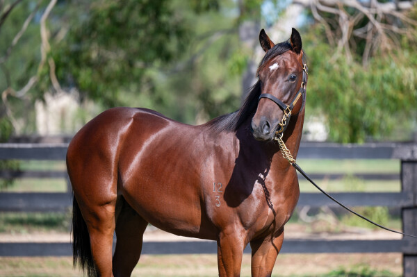 Lot 88: Portland Sky / Cailini