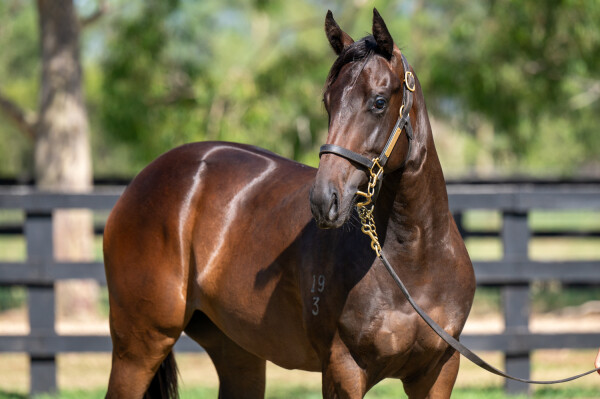 Lot 108: Trapeze Artist / Cheeky Babe