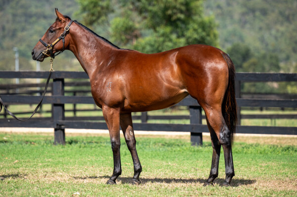 Lot 210: Portland Sky / Fancy Liquor