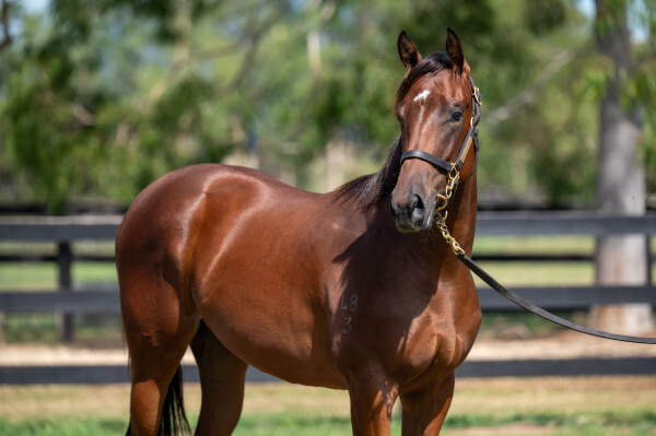 Lot 210: Portland Sky / Fancy Liquor