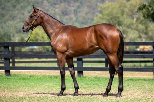 Lot 304: Trapeze Artist / I Like it Easy