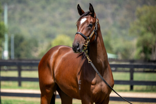 Lot 304: Trapeze Artist / I Like it Easy