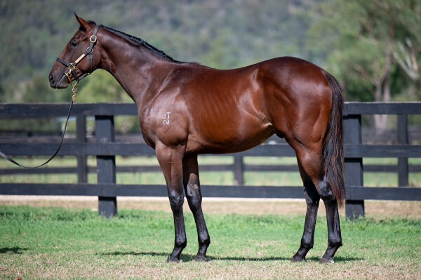 Lot 547: Portland Sky / Pure Humour