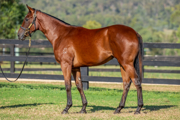 Lot 666: Rebel Dane / Somnium