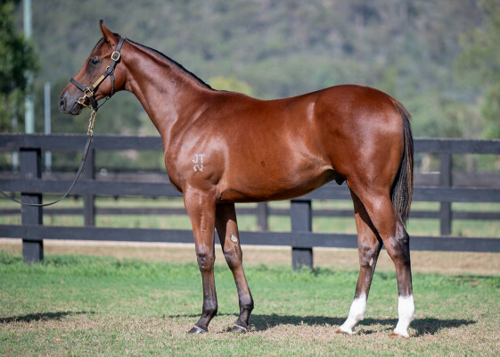 Lot 693: Zoustar / Succeeder