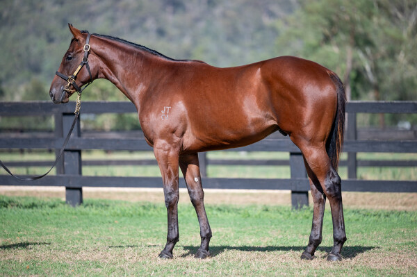 Lot 774: Written By / Whenitrainsitpours