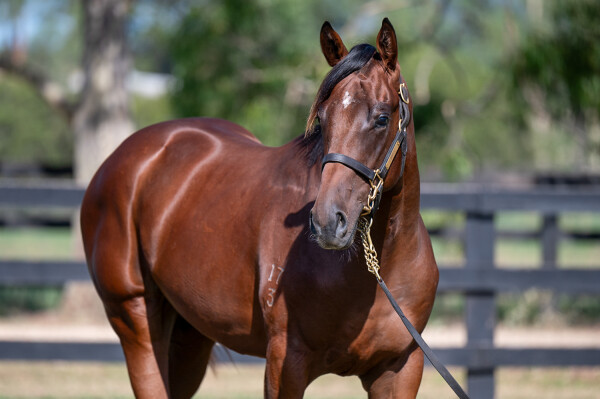 Lot 774: Written By / Whenitrainsitpours