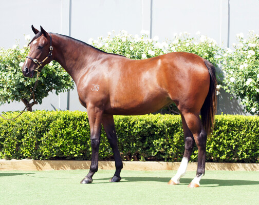 Lot 381: D'Argento / Lionel Left Me