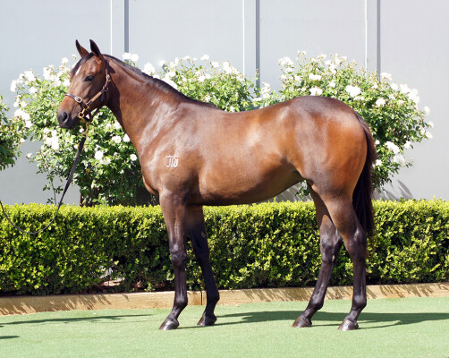 Lot 784: Hellbent / With a Bang