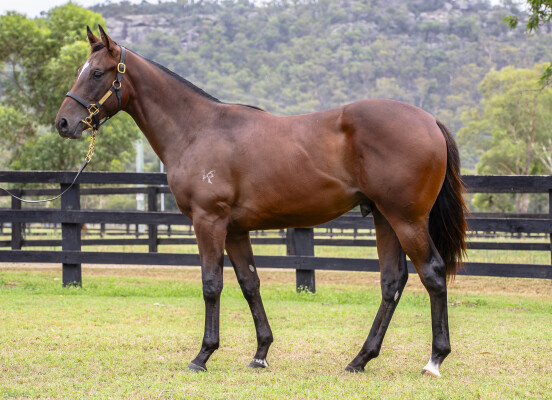 Lot 125: Trapeze Artist / Constanzia