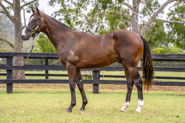 Lot 605: Trapeze Artist / Same Old Scene