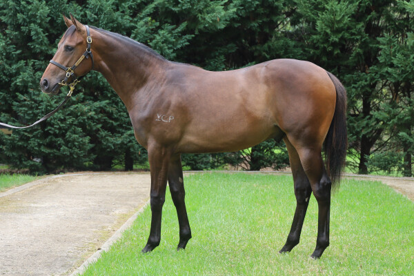 Lot 199: Cosmic Force / Etheridge