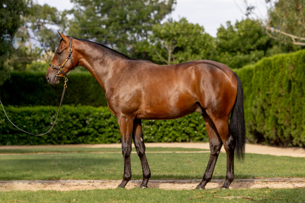 Lot 527: Pierro / Pixel Perfect