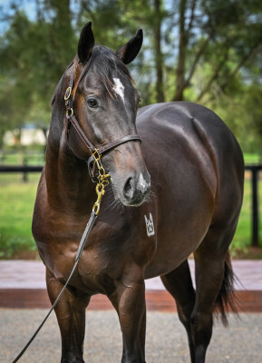 Lot 758: Dirty Work / Villa Be