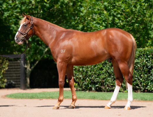 Lot 107: Farnan / Chain of Fools