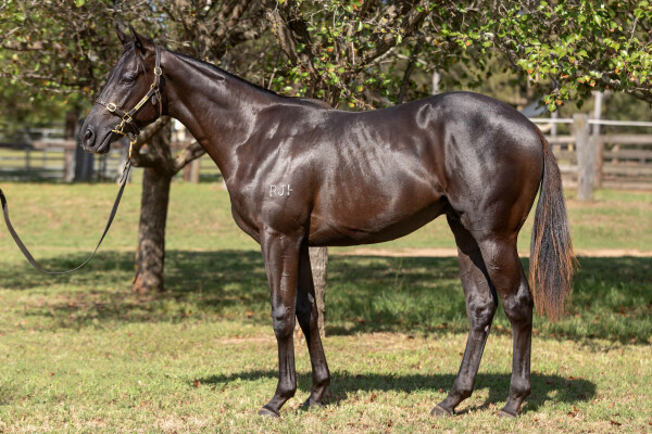 Lot 278: Dirty Work / Hear Tell