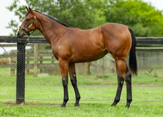 Lot 628: Hellbent / Share the Rhythm