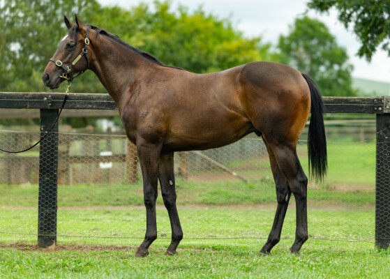 Lot 773: Astern / Weston Super Mare